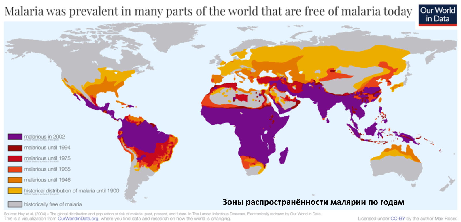 2021 Декабрь