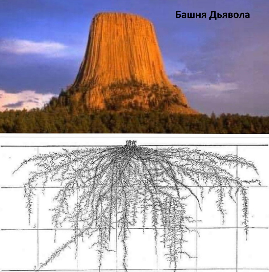 кремниевые деревья